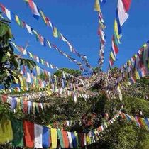 1月20日阿彌陀佛在尼泊爾加德滿都 滿願